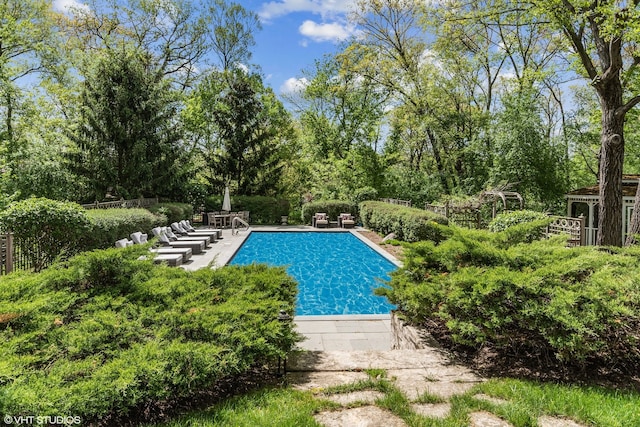 view of pool with a patio area