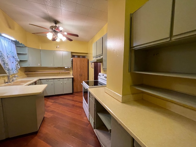 kitchen with ceiling fan, dark hardwood / wood-style flooring, electric stove, and sink