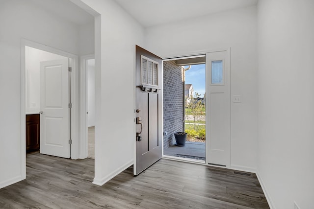 foyer entrance featuring hardwood / wood-style floors