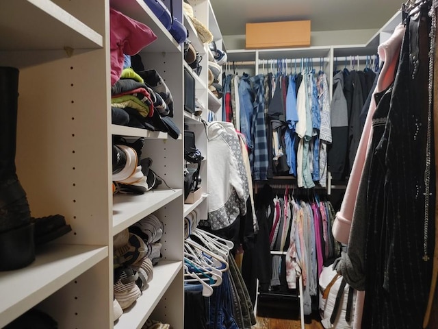 view of walk in closet