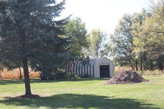 view of yard with a storage unit