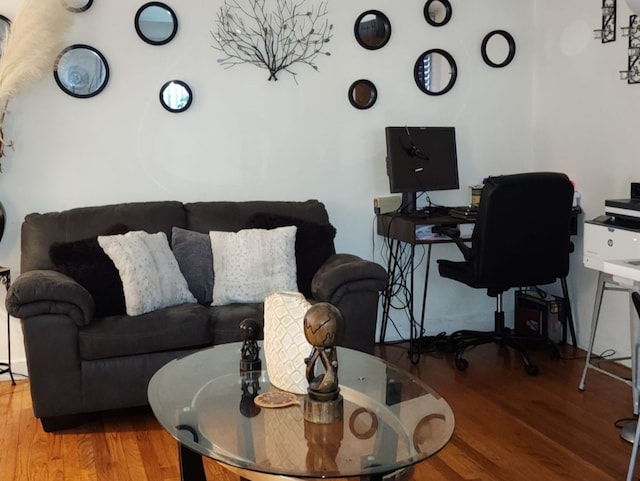 living room with wood-type flooring