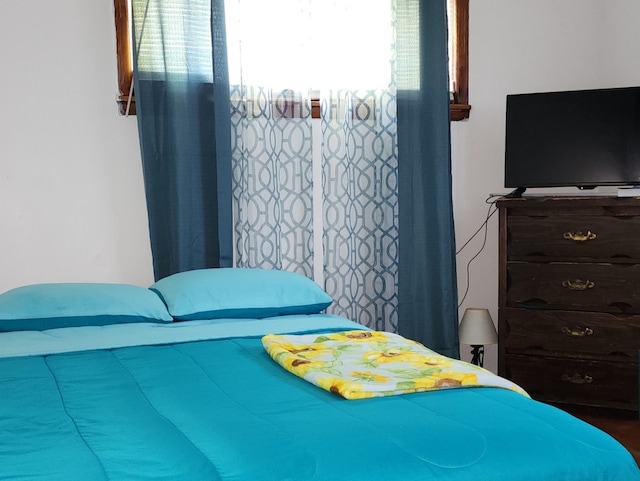 bedroom featuring multiple windows