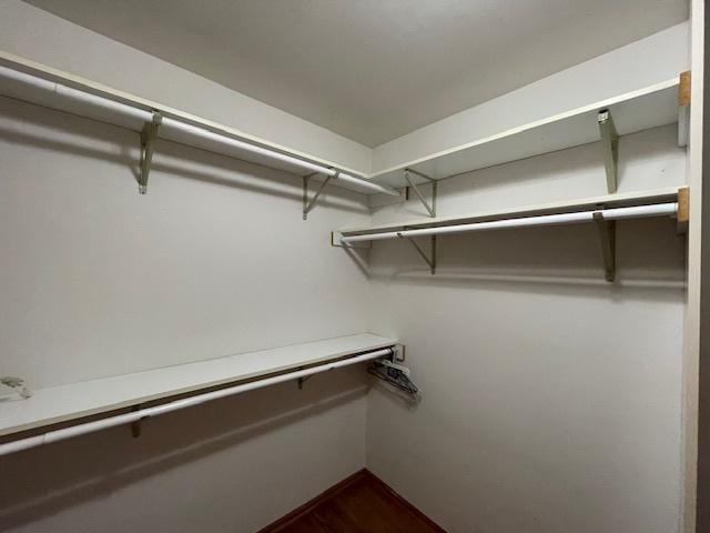 spacious closet featuring dark hardwood / wood-style floors