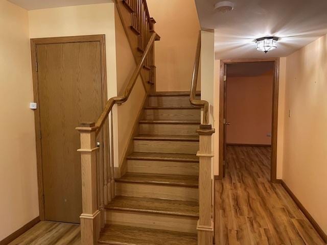 stairway with hardwood / wood-style floors