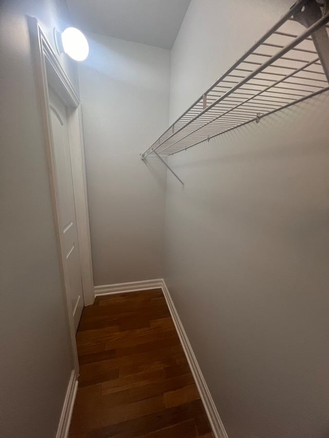 spacious closet featuring dark hardwood / wood-style flooring