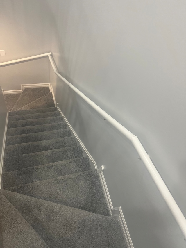 stairs featuring carpet