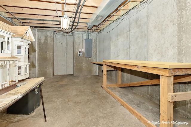 basement with electric panel