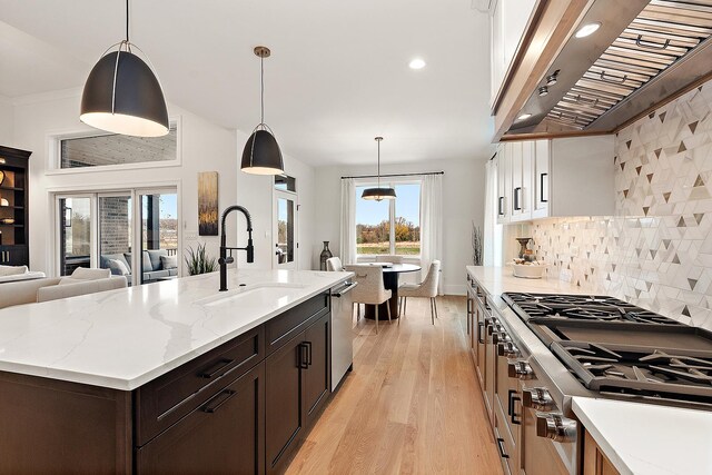 11060 Lizmore Ln Unit 27B, Orland Park, IL 60467 - kitchen featuring a sink, exhaust hood, stainless steel appliances, light wood-style flooring, and open floor plan