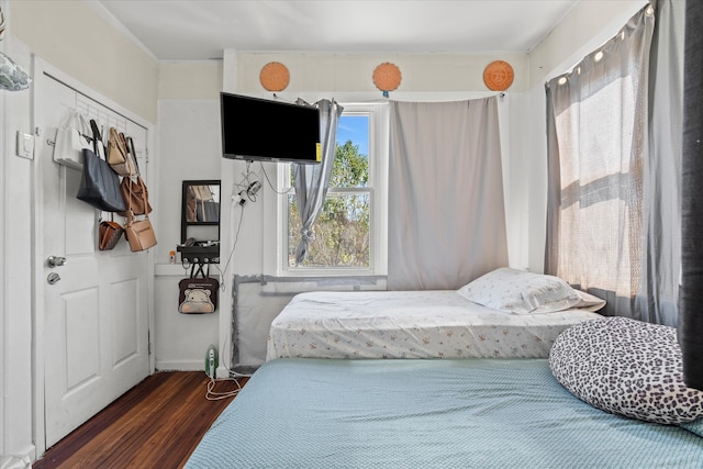 bedroom with a closet, multiple windows, and dark hardwood / wood-style floors