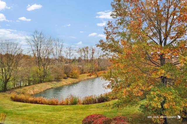 property view of water