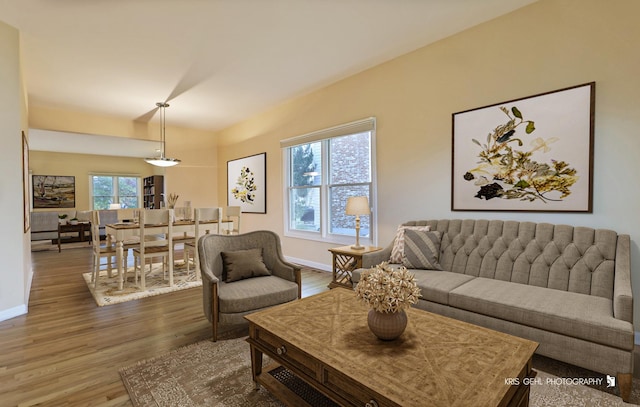 living room featuring hardwood / wood-style flooring