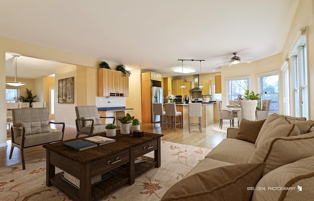 living room with ceiling fan and light hardwood / wood-style flooring