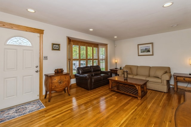 living room with hardwood / wood-style floors and plenty of natural light