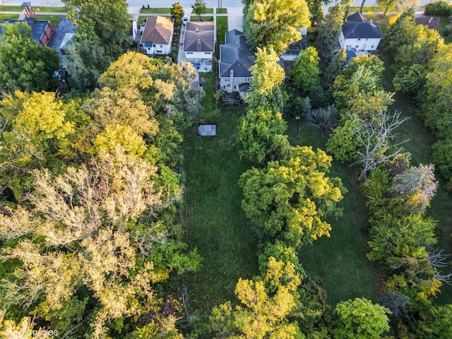 bird's eye view