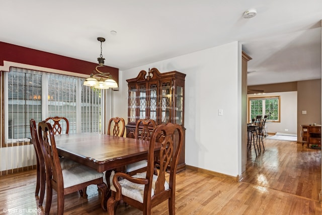 dining room with a notable chandelier and light hardwood / wood-style floors