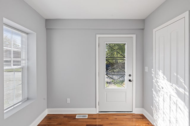 foyer with plenty of natural light and wood-type flooring