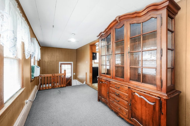 interior space featuring wood walls and carpet flooring