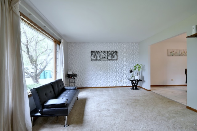 living area featuring carpet