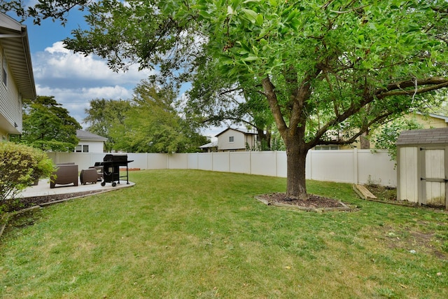 view of yard featuring a shed and a patio