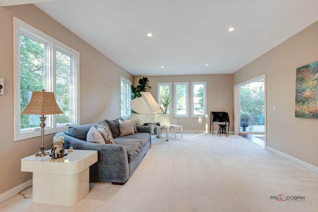 living room with a wealth of natural light