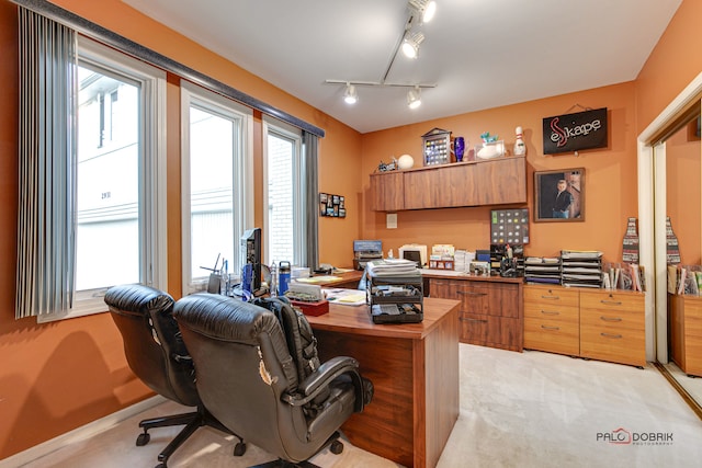 carpeted office with track lighting and plenty of natural light