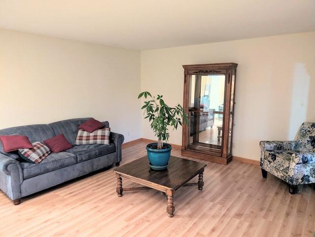 living room with light wood-type flooring