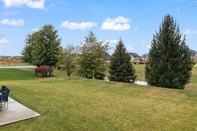 view of yard featuring a patio area