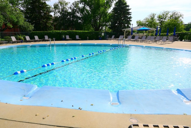 view of pool featuring a patio