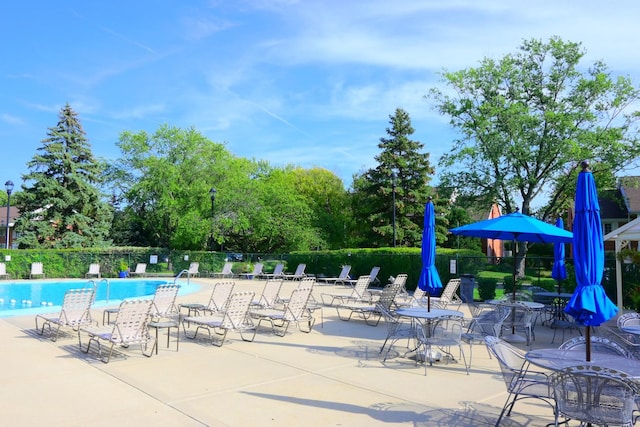 view of swimming pool with a patio area