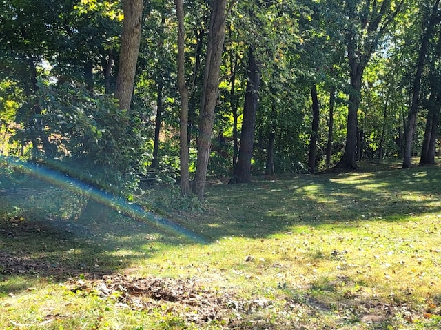 view of landscape