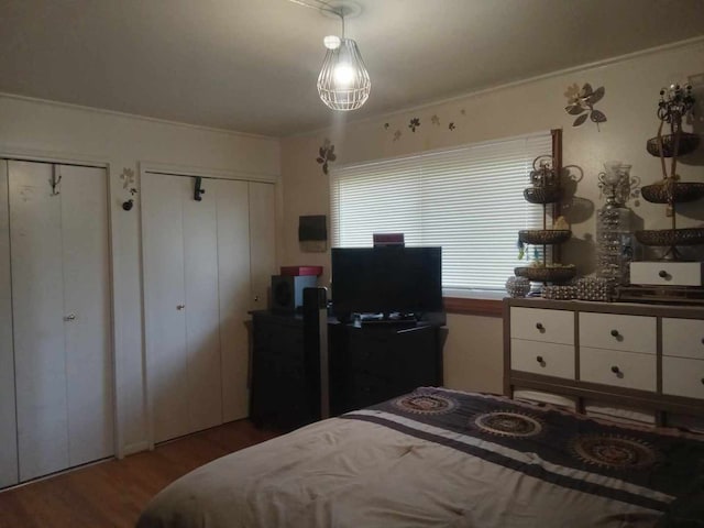 bedroom with ornamental molding, two closets, and hardwood / wood-style flooring