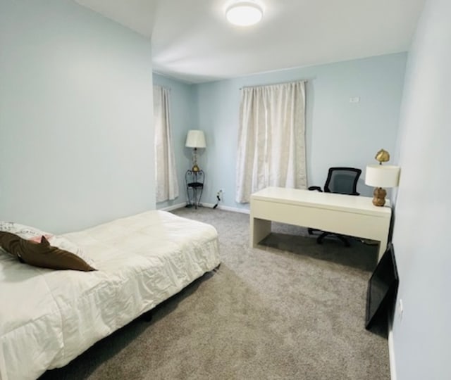 bedroom with carpet floors