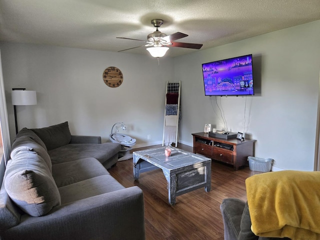 6809 S Joanne Ave, Rochelle, IL 61068 - living room featuring a ceiling fan and wood finished floors