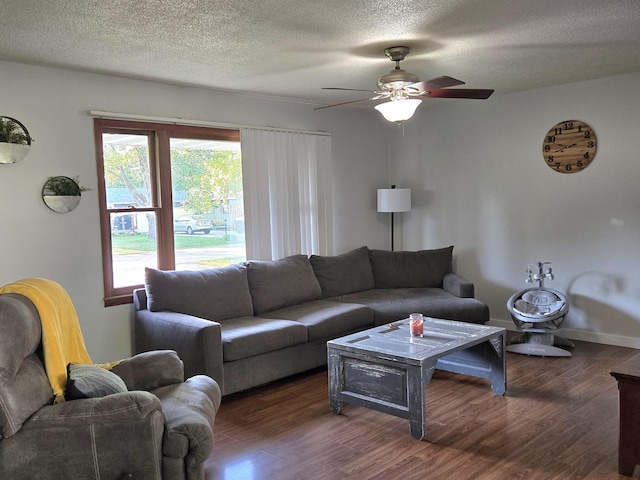 6809 S Joanne Ave, Rochelle, IL 61068 - living room with wood finished floors, ceiling fan, and a textured ceiling