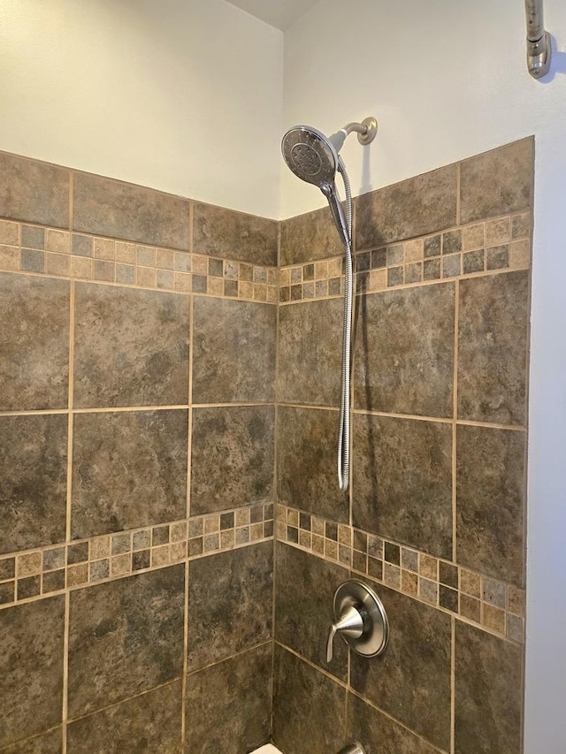 6809 S Joanne Ave, Rochelle, IL 61068 - bathroom view of bathing tub / shower combination
