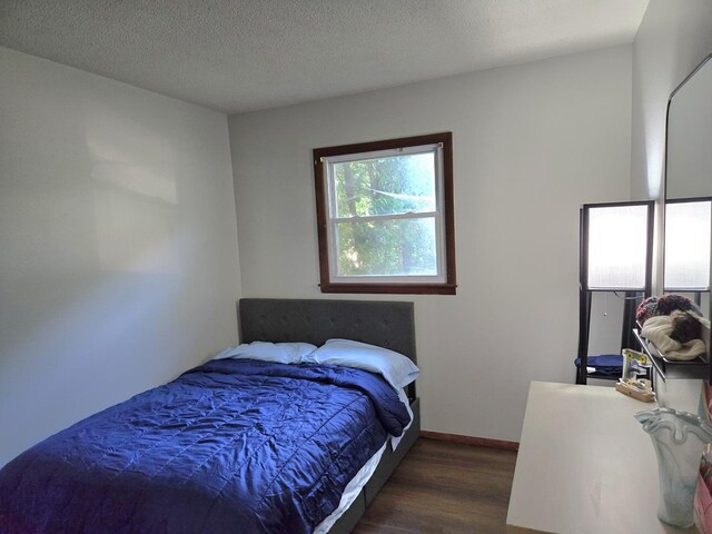6809 S Joanne Ave, Rochelle, IL 61068 - bedroom with wood finished floors and a textured ceiling