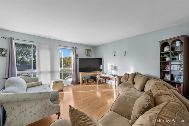 living room featuring light hardwood / wood-style floors