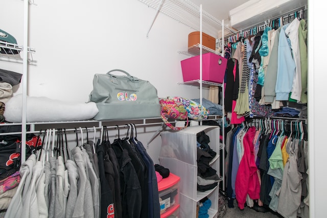 spacious closet featuring carpet floors