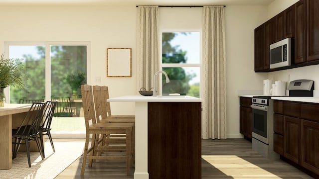 kitchen with light hardwood / wood-style flooring, stove, dark brown cabinetry, and a healthy amount of sunlight