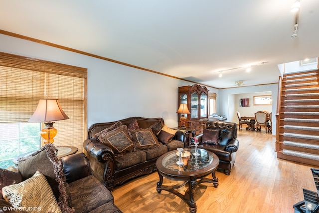 living room featuring crown molding, light hardwood / wood-style flooring, and rail lighting