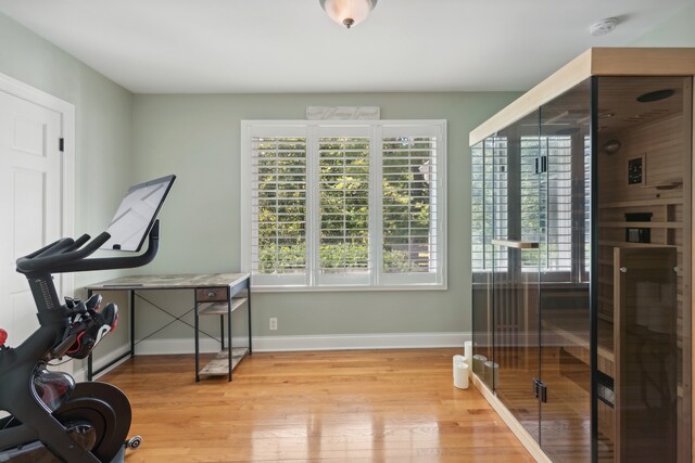 workout room featuring hardwood / wood-style flooring