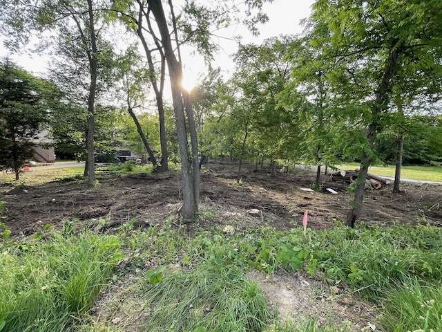 22 N Columbine Ave, Lombard, IL 60148 - photo 1