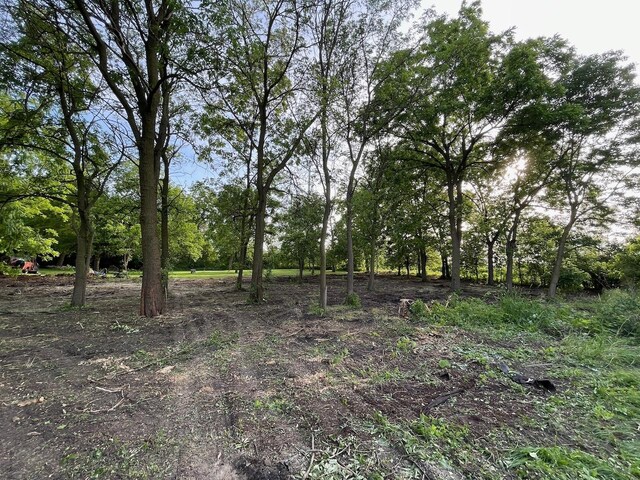 22 N Columbine Ave, Lombard, IL 60148 - photo 5