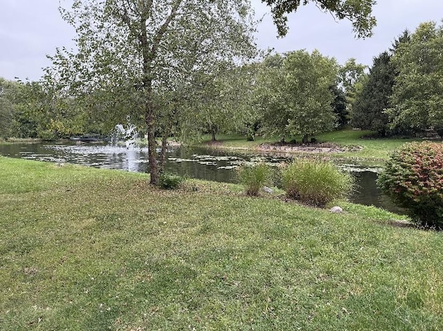 24858 W Lake Forrest Ln, Shorewood, IL 60404