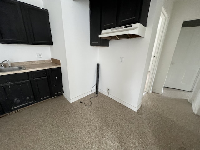 kitchen with light colored carpet and sink