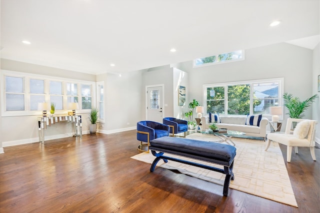 living room featuring dark hardwood / wood-style flooring