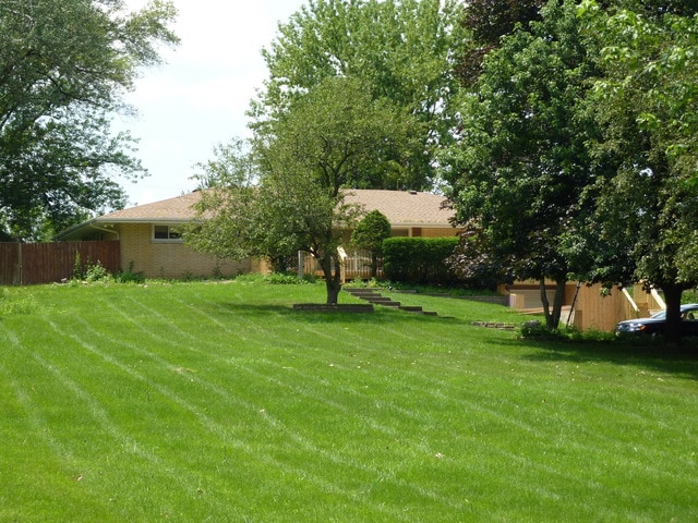 7N606 Hawthorne Ave, Medinah, IL 60157 - view of yard
