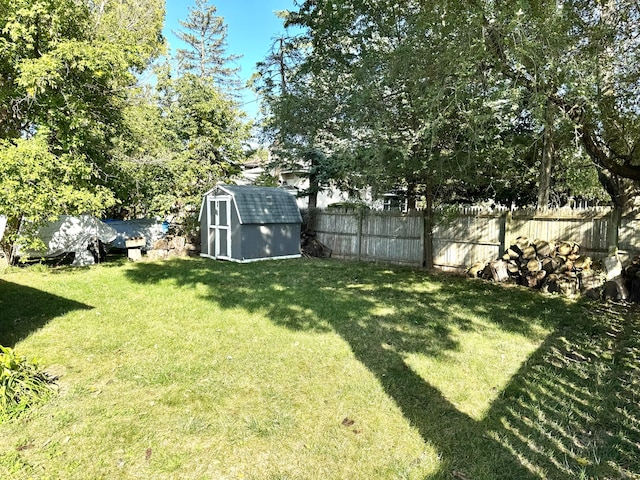 view of yard featuring a shed