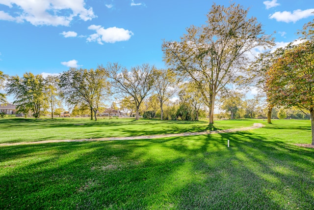 view of property's community featuring a yard